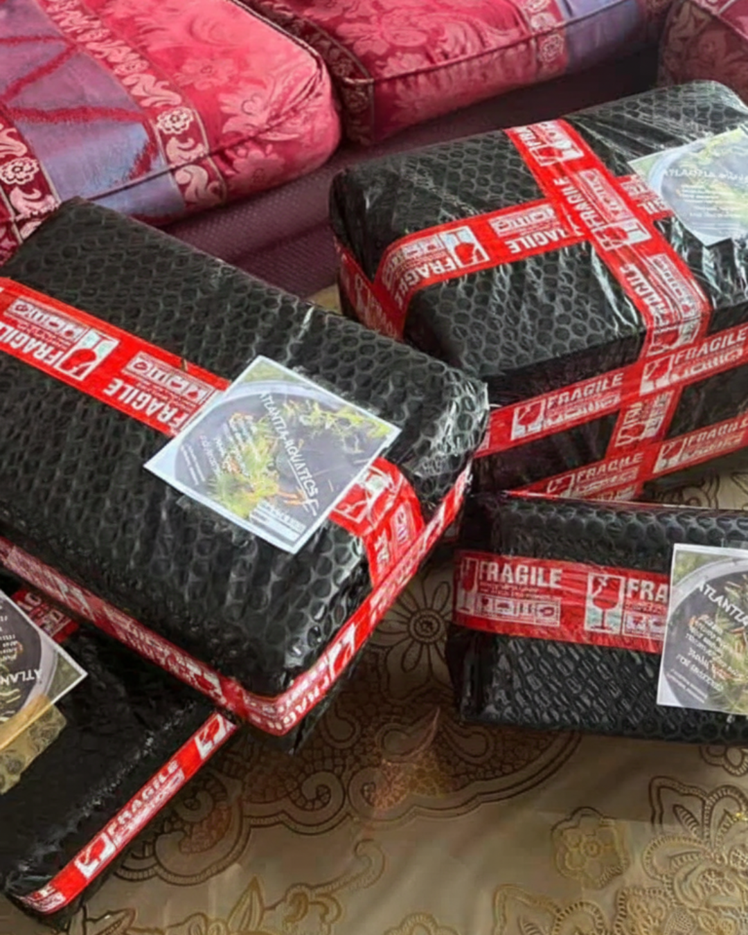 Parcel delivery photo
