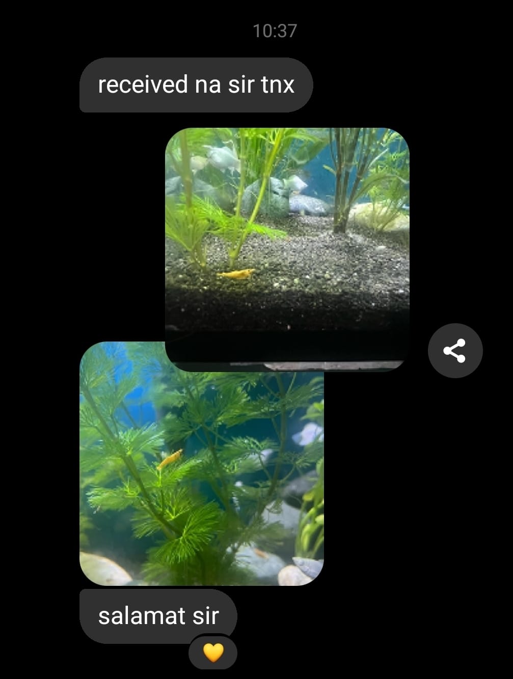 Customer testimonial