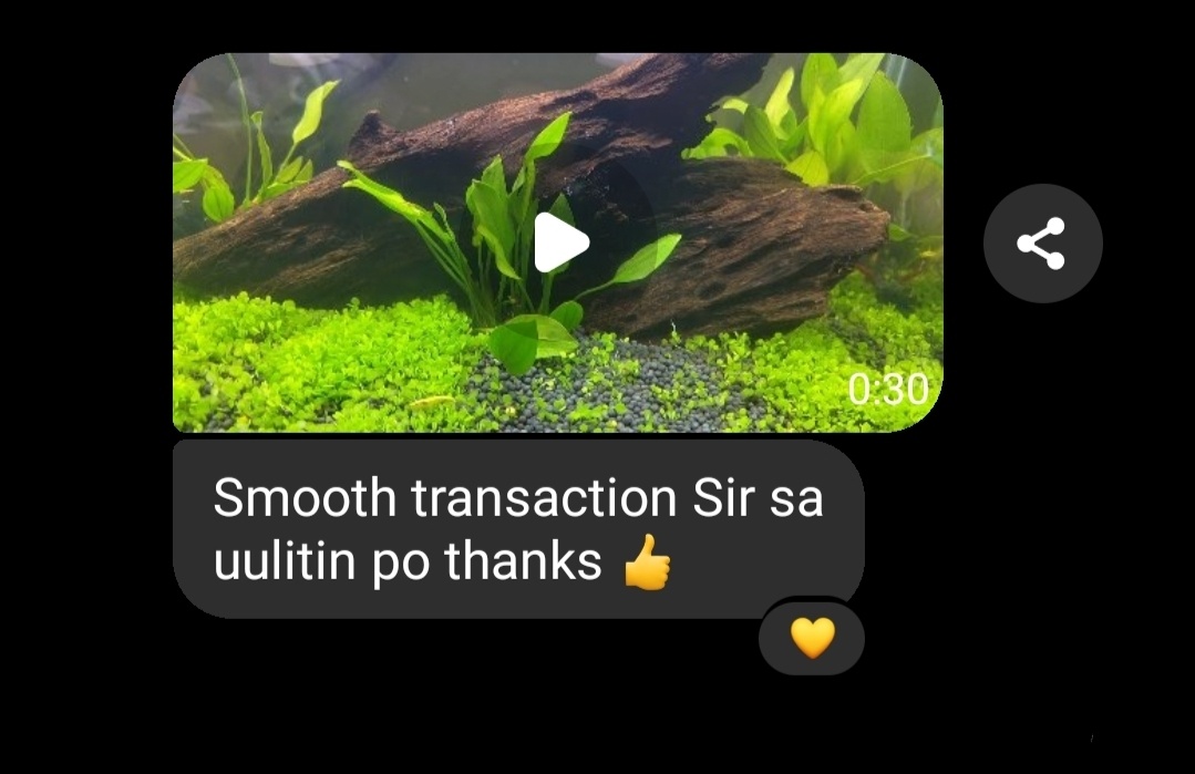 Customer review screenshot